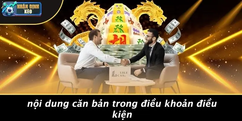 Nội Dung Căn Bản Trong Điều Khoản Điều Kiện